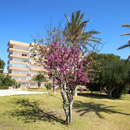 Apartment Horizont *